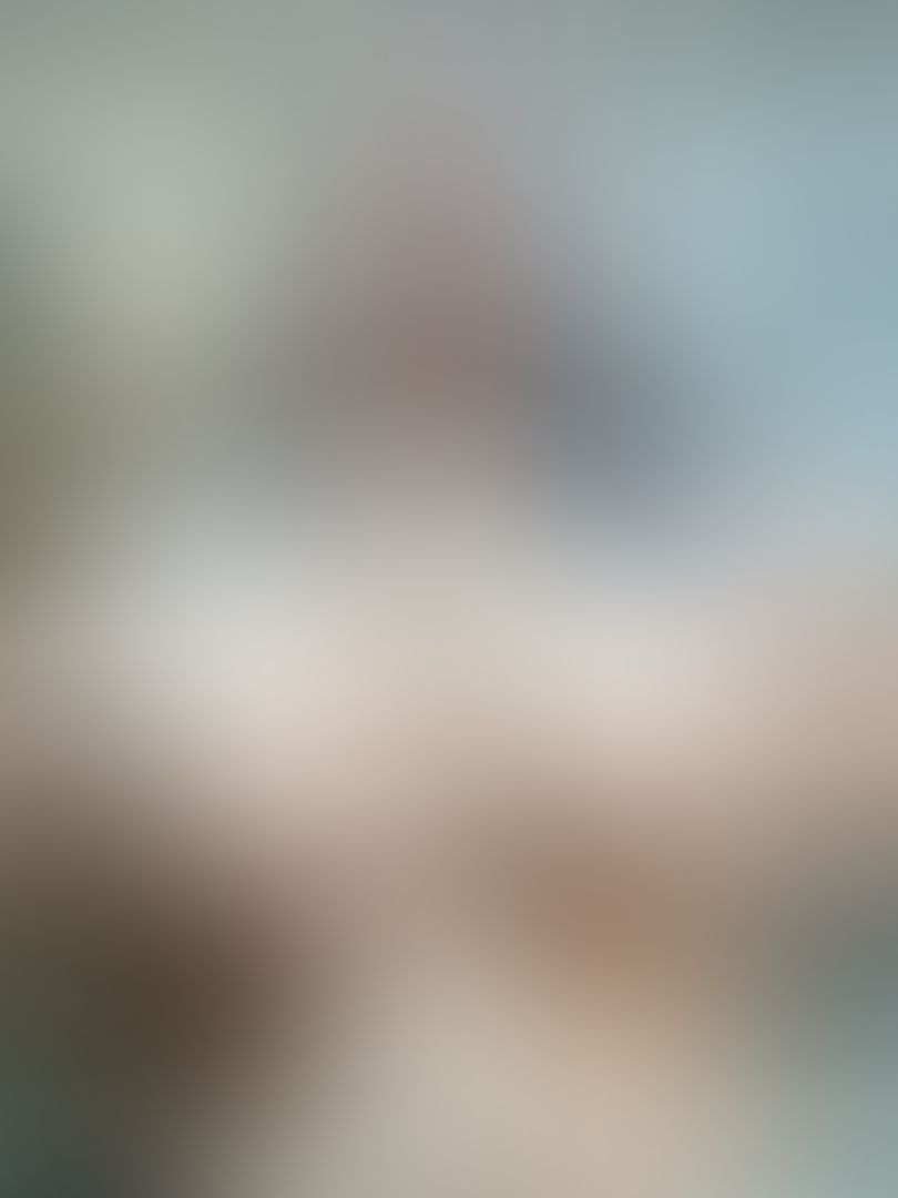 Disfruta de los melones 