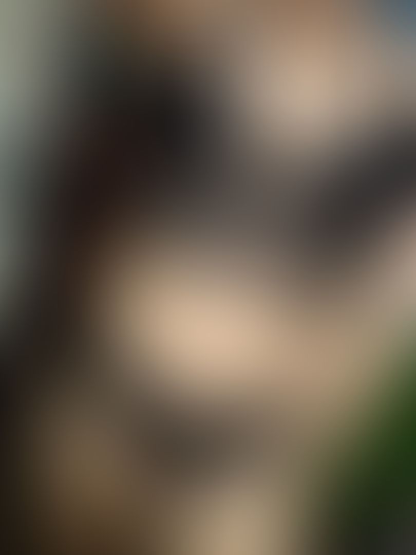 Entremos en confianza ✌️📱