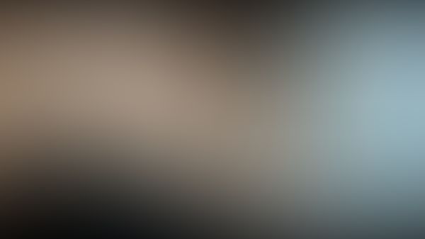 Quieres videos privados cuesta 14.99 dólares. 