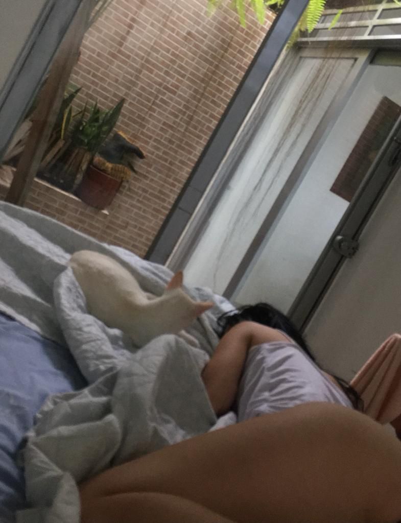 Hola ¿quién está activo? 