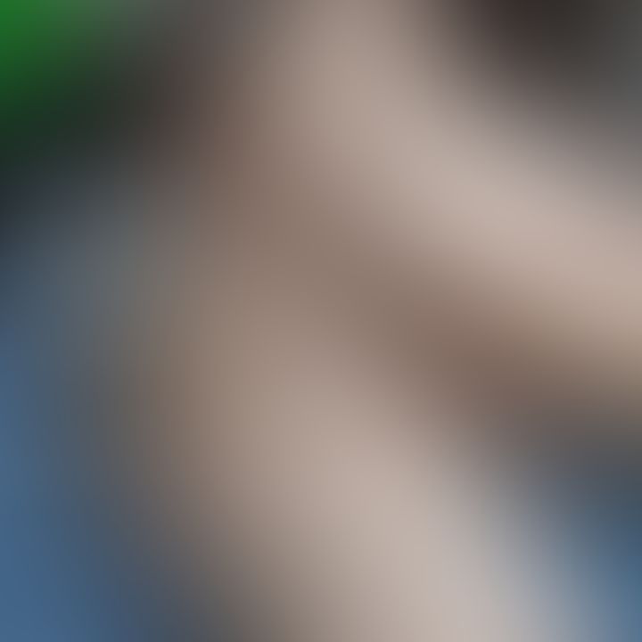 Cual es tu color favorito !!!!