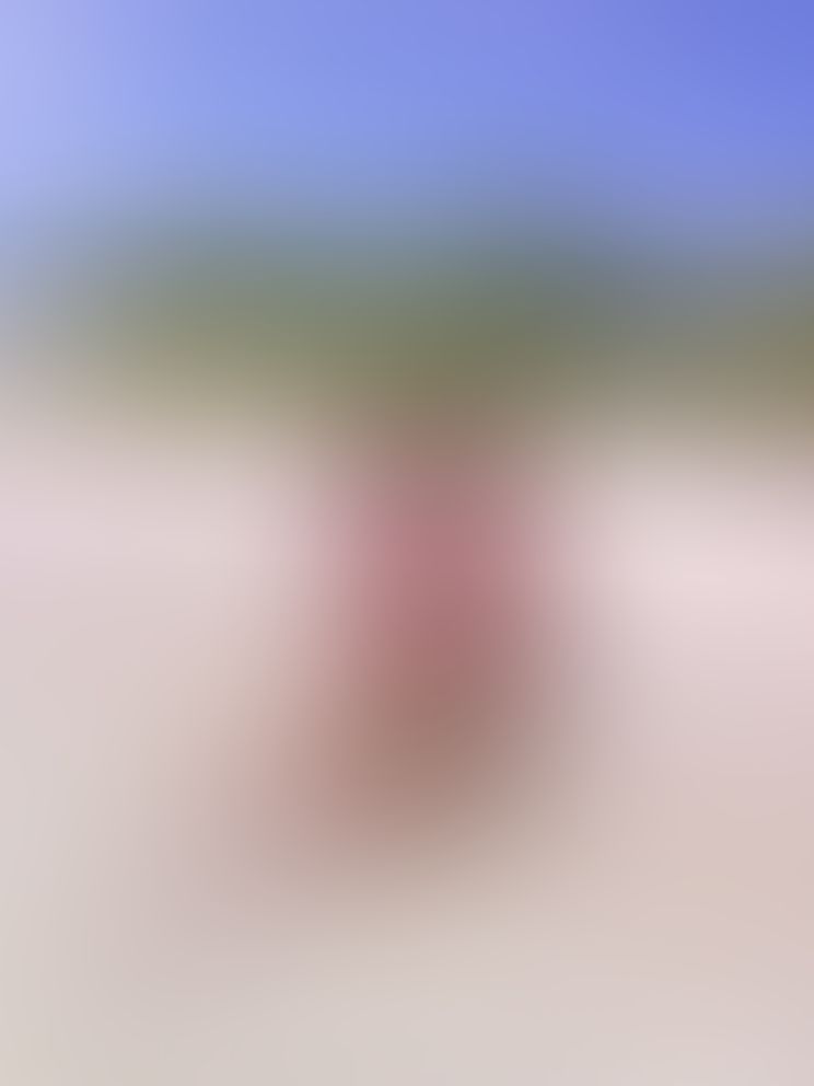 El el mar la vida es más sabrosa 🌊