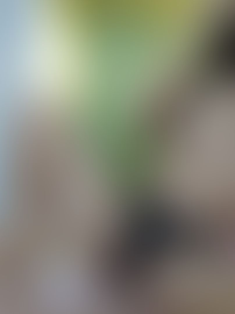 Nueva cosas ricas para ti 🤤🤤😈